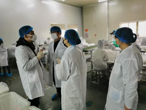 審計助力防疫物資企業復工復產，福州展現服務溫度